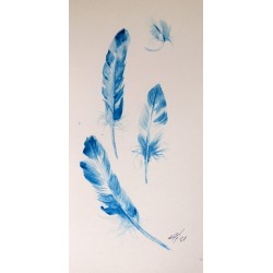 Blue feathers