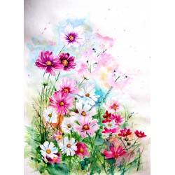 Cosmos flowers with...